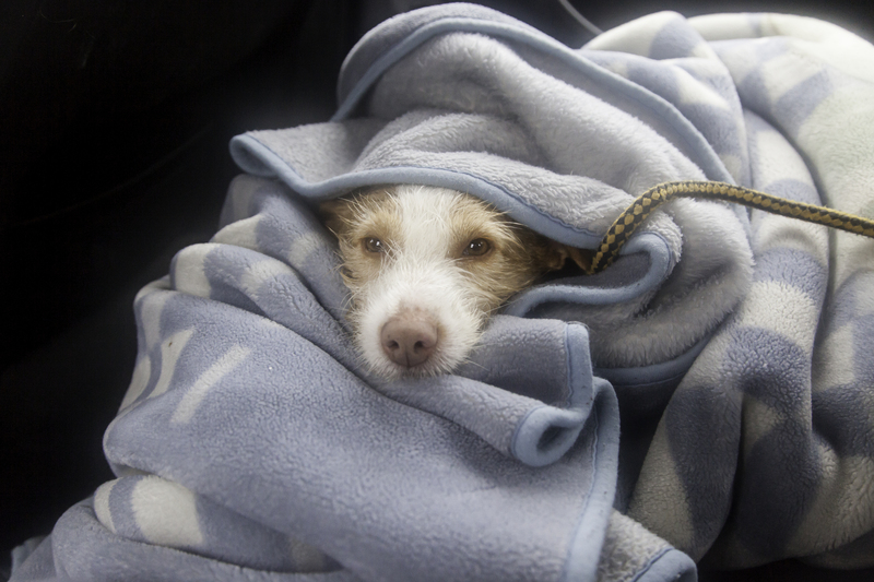 moving supplies Packing